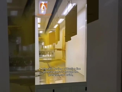 línea de capa electrostática del polvo